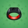Signet Ring #6724
