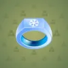 Signet Ring #6738