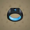 Signet Ring #6791