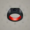 Signet Ring #699