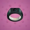 Signet Ring #7420