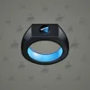 Signet Ring #7547