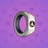 Signet Ring #7917