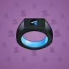 Signet Ring #8080