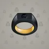 Signet Ring #8119