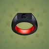 Signet Ring #812