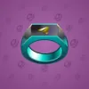 Signet Ring #827