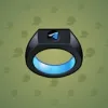 Signet Ring #8322