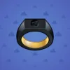 Signet Ring #8407