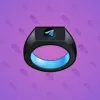 Signet Ring #8445