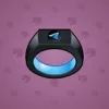 Signet Ring #8531