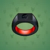 Signet Ring #8611