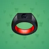 Signet Ring #8617