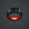 Signet Ring #8683