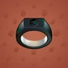 Signet Ring #906