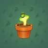 Snake Box #2147