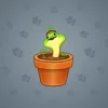 Snake Box #2541