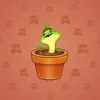 Snake Box #2580
