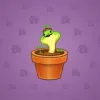 Snake Box #3412