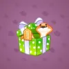 Snake Box #4918