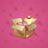 Snake Box #495