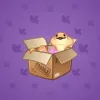 Snake Box #5524