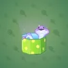 Snake Box #5910