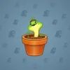 Snake Box #6062