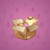 Snake Box #6230