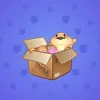 Snake Box #6438