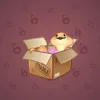 Snake Box #6937