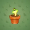 Snake Box #7806