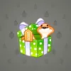 Snake Box #8104