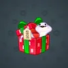 Snake Box #9827