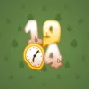 Big Year #11217