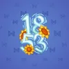 Big Year #11234