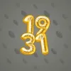 Big Year #11296