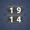 Big Year #11911