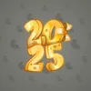 Big Year #12563