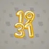 Big Year #13374