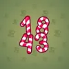 Big Year #14771