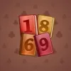 Big Year #15229