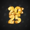 Big Year #15239