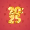 Big Year #16324