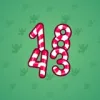 Big Year #16949