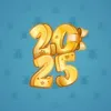 Big Year #18235