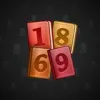 Big Year #18320