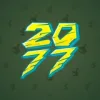 Big Year #22218