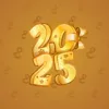 Big Year #22407
