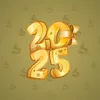 Big Year #25029